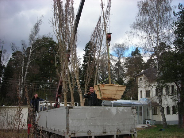 Королев