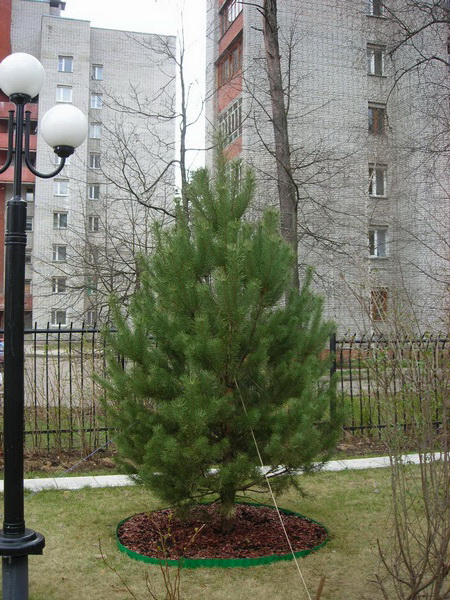 Протвино